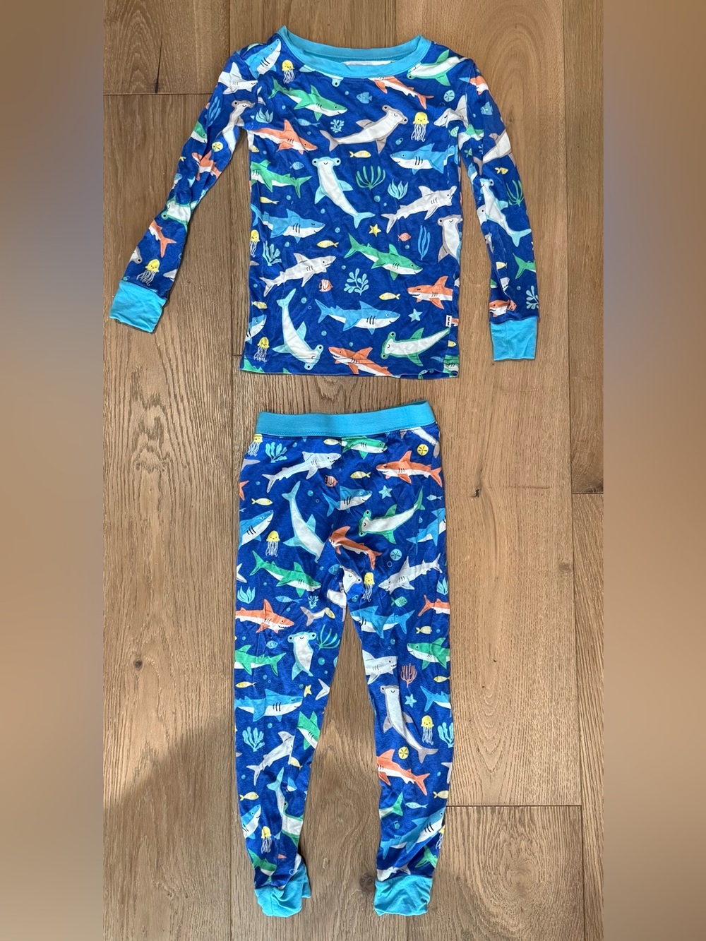 Little Sleepies 3T Rad Reef Shark Pajamas